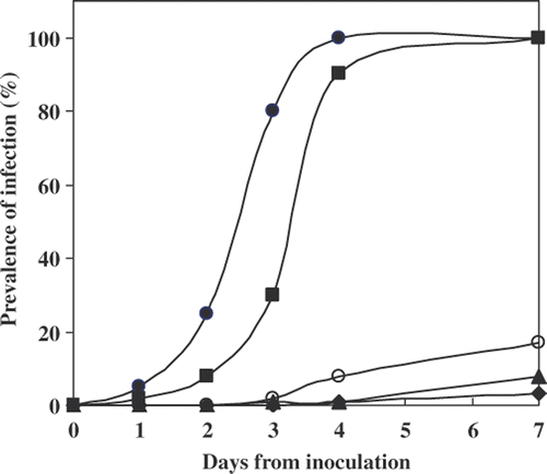 Fig. 7. Development of ‘epidemics’ in different algal species at their logarithmic stage, during the period of 7 days. Each point on the graph represents the percentage of algal cells observed carrying Paraphysoderma sedebokerensis (nom. prov.) sporangium. Haematococcus pluvialis Flotow 1844em.Wille SCCAP K-0084 (•), Chlorella zofigiensis Donz CCAP 211/14 (▪), Scenedesmus vacuolatus SAG 211-8b(○), Muriella zofigiensis SAG 4.80 (▴), Scotiellopsis oocystiformis SAG 277-1(♦).