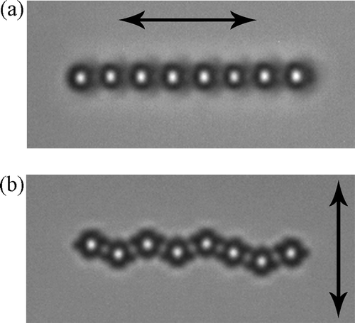 Figure 5. (a) Chain of dipolar colloidal particles in a planar cell of 4-cyano-4-n-pentylbiphenyl. (b) Quadrupolar chain is always kinked.