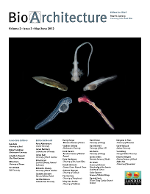 Cover image for BioArchitecture, Volume 2, Issue 4, 2012