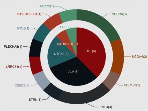 Figure 3 Variant distribution of acquired RTK fusions in EGFR-TKI posttreatment samples.Abbreviations: RTK, receptor tyrosine kinase; TKI, tyrosine-kinase inhibitor.