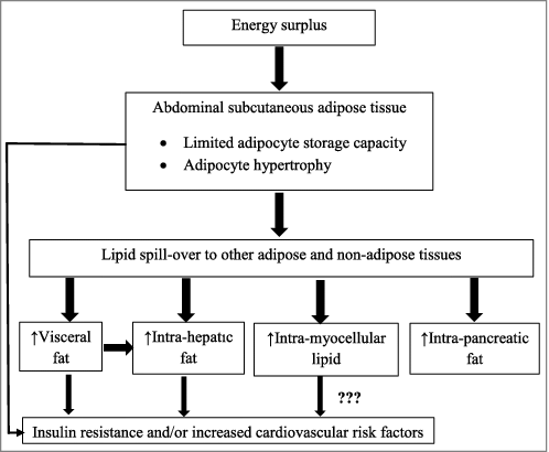Figure. 1 Proposed mechanisms of regional adipose tissue in the development of insulin resistance and the increase of cardiovascular risk in non-obese Asian type 2 diabetic patients.