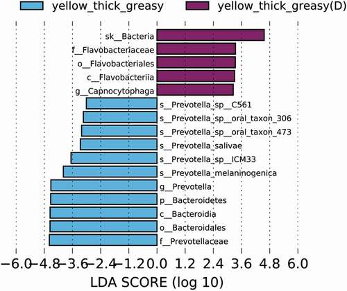 Figure 4. Top differentially enriched taxa in the Y-thick greasy tongue coating of healthy and diabetic populations. Enriched taxa in the designated tongue coating type with LDA scores higher than 3 in LEfSe analysis are presented