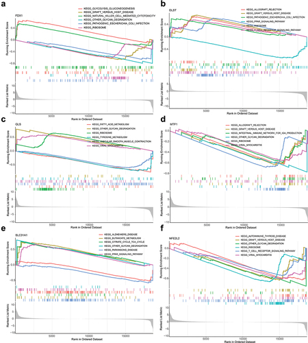 Figure 10. GSEA analysis of FDX1, NFE2L2, SLC31A1, DLST, MTF1, GLS.