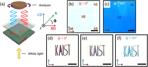 Figure 4. (a) Schematic illustration of the transmitted LPLs through the patterned BDLC film. Optical microscope images of the patternable codes with the letters ‘LG’ when (b) φ = 0° or (c) φ = 90°. Optical microscope images of the transmission color change observed in a security code patterned with the letters ‘KAIST’ without (f) an analyzer or when (d) φ = 0° or (e) φ = 90°. Scale bar: (b) and (c) = 1 mm and (d)–(f) = 5 mm.