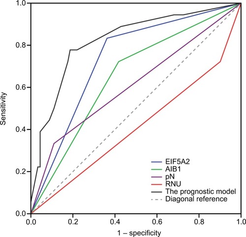 Figure 7 ROC curves comparing the predictive accuracy by the combined AIB1, EIF5A2, pN, and the surgical approach of RNU, the AIB1 alone model, the EIF5A2 alone model, the pN model, and RNU alone model for intravesical recurrence-free survival.Abbreviations: RNU, radical nephroureterectomy; ROC, receiver operating characteristic.