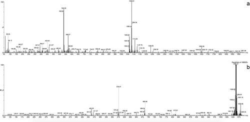Fig. 3. MS spectrum (a) an MS/MS fragmentation pattern, (b) of cyanopeptolin 1081