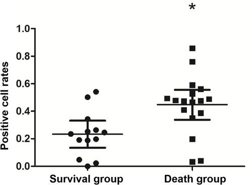 Figure 4 Syncytin-1 positive cell rate in 5-year survival group and 5-year death group. The syncytin-1 positive cell rate of the carcinoma tissues in the 5-year death group was higher than that in the 5-year survival group. *Represents P<0.05.