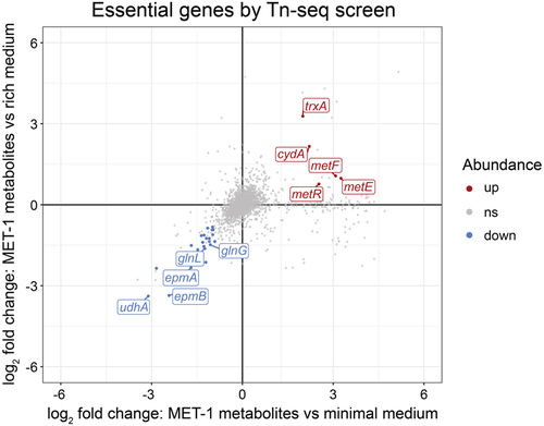 Figure 6. Identification of EHEC genes affecting fitness during growth in microbiota metabolites using Tn-Seq. Scatterplot shows differences in Tn-Seq reads mapped to each EHEC gene for EHEC cultures grown in MET-1 microbiota metabolites compared to the minimal medium control on the x-axis and compared to the rich medium control on the y-axis. Genes that were considered to promote fitness in microbiota metabolites are colored blue while genes that reduce fitness in microbiota metabolites are colored red (criteria described in Materials and Methods). Genes that are discussed further in the text are labeled.