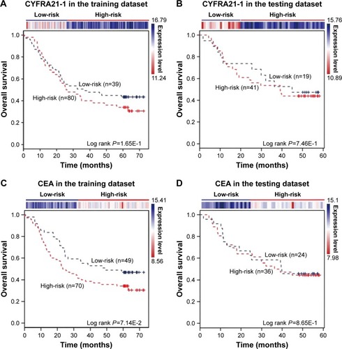 Figure 5 CYFRA21-1 and CEA predict the clinical outcomes of ESCC patients. The expression profiles of the CYFRA21-1 and CEA are shown in the top panel. CYFRA21-1 or CEA could not distinguish ESCC patients with different clinical outcomes in (A, C) the training dataset (119 patients) and (B, D) the testing dataset (60 patients). The survival months are shown along the x-axis and overall survival rates are shown along the y-axis.