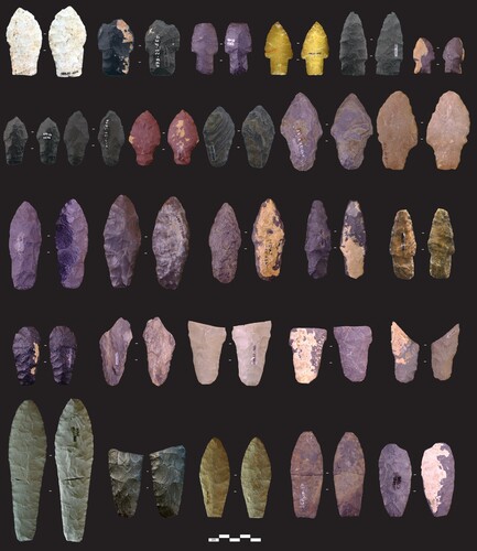 Figure 3. Stemmed points from the Wally’s Beach collection, southern Alberta, Royal Alberta Museum collection: Top row, left to right: H99.22-4276, H99.22-885, H99.22-4283, H99.22-5650, H99.22-881, H99.22-8501; Second row, left to right: H99.22.4506, H99.22.3676, H99.22.609, H99.22.4260, H99.22.4262, H99.22-5833; Third row, left to right: H99.22.730, H99.22.697, H99.22.5687, H99.22.123, H99.22.705; Fourth row, left to right: H99.22.4289, H99.22.4642, H99.22.965, DhPg-8.2856.1, H99.22.1005; Fifth row, left to right: H99.22.4261, and uncatalogued specimen illustrated in Yanicki et al. (Citation2022), H99.22.4263, DhPg-8.75, DhPg-82. 2864.1. All photographed courtesy of the Royal Alberta Museum, save for the uncatalogued specimen, with those photographs provided by Gabriel Yanicki, Canadian Museum of History.