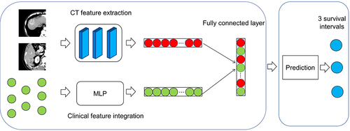 Figure 1 Workflow of TACE patient survival prediction model based on deep learning (DLOPcombin).