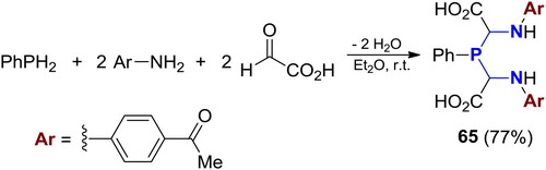 Scheme 39. 3C-Phospha-Mannich reaction of PhPH2 with 4-aminoacetophenone and glyoxylic acid.[Citation116]
