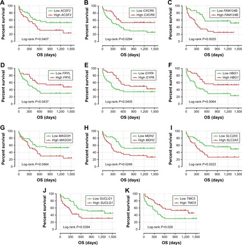 Figure 3 The prognostic value of the 11 genes for AML patients in the GSE12417 HG-U133 plus 2.0 cohort.