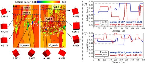 Figure 8. The SF maps before LCF test of (a) P_mode sample with sharp texture and (b) O_mode sample with weak texture; the SF distribution of different location along (c) path 1 and (d) path 2.