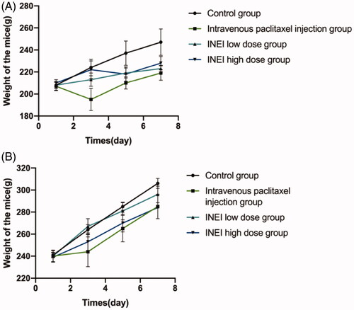 Figure 8. Effects of single administration of different groups on animal weight. (A) Male mice with four group were divided into control group, intravenous paclitaxel injection group, INEI low-dose group and INEI high-dose group (B) Female mice with four group were divided into control group, intravenous paclitaxel injection group, INEI low-dose group and INEI high-dose group.