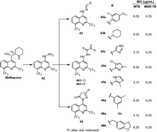 Figure 8. Design of hydrazine-linked-quinolines based on the structure of mefloquine.