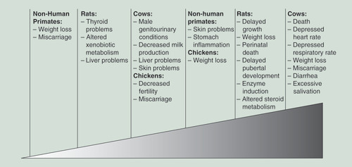 Figure 2.  Effects of PBBs on animal models standardized by human equivalent dose.