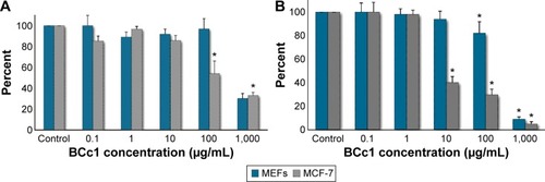 Figure 3 BCc1 cell toxicity in malignant and normal cells after 24 hours (A) and 48 hours (B).