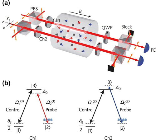 Figure 18. Atomic system for realizing anti- symmetry. (a) Schematic of a three-dimensional view of the system. Two spatially separated optical channels (Ch1 and Ch2) each contain collinearly propagating weak-probe and strong-control fields operating under the condition of EIT. Output probe transmission spectra are measured by sweeping a homogeneous magnetic field generated by a solenoid inside the shield. PD, photodetector. (b) The implementation of anti- symmetry using standard three-level -type EIT configurations in two channels. An external cavity diode laser provides the light for the probe and control fields with orthogonal circular polarizations. Right-circularly (left-circularly) polarized strong-control (weak-probe) fields, and ( and ) in Ch1 and Ch2 are, respectively, resonant with ( ). and are detunings. The population is mainly in the ground state . Source: Adapted from Ref. [Citation37].