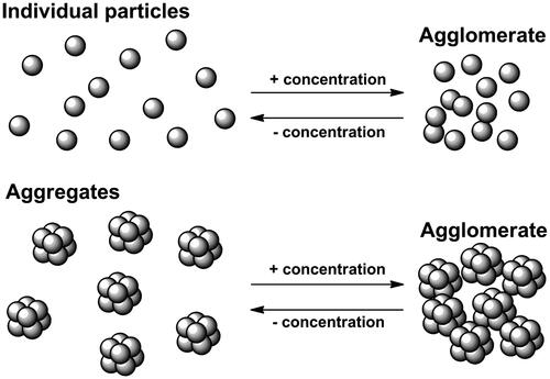 Figure 7. Cartoon illustrating the effect of concentration on individual particles and aggregates.