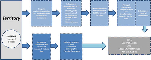 Figure 1. Graphical abstract of the present study.