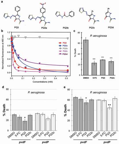 Figure 2. Characterization of anti-virulent properties of PQ3 and PQ3c. (a) Structure of PQ3 and its analogs. (b) Dosage-dependent effects of PQ3-family compounds on the innate pyoverdine fluorescence. (c-e) C. elegans survival after exposure to wild-type P. aeruginosa (c) or pyoverdine-deficient mutants (d-e) in the presence of PQ3 or PQ3c. DMSO and 5-fluorocytosine (5-FC) served as positive and negative controls, respectively. For (c-d), the same time point was used. For (e), a longer exposure was used in order to match the level of death between C. elegans exposed to wild-type P. aeruginosa or pyoverdine biosynthesis mutants. For (c-e), at least three independent biological replicates were performed. For each replicate, at least four wells with ~ 20 worms/well were used. Statistical significance was determined using Student’s t-test.