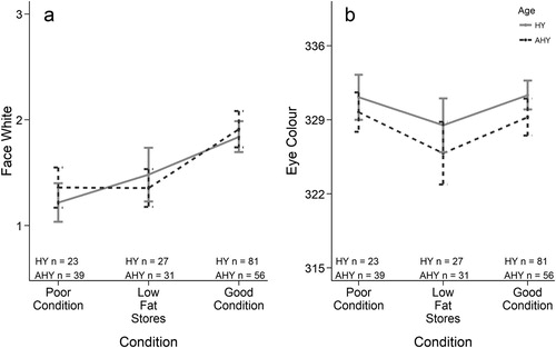 Figure 4. Mean ± 95% CI (a) face white and (b) eye colour scores for hatch-year (HY) and adult (AHY) Northern Saw-whet Owls for three particular combinations of keel and fat scores that represent certain body conditions: Fat = 1/Keel = 1 (poor condition), Fat = 1/Keel = 3 (low fat stores), Fat = 3/Keel = 3 (good condition); see Figure 1.