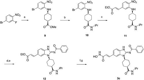 Scheme 3. Synthesis of compound 3c. Reagents and conditions: (a) methyl cis-1,4-aminocyclohexanecarboxylate hydrochloride, DIPEA, I, 80 °C, 12 h, 99%; (b) (i) NaOH, H2O, MeOH, rt, 12 h; (ii) iPrNH2, EDCI, HOBt, TEA, DMF, rt, 20 h, 41%; (c) ethyl acrylate, Herrmann’s palladacycle, [(tBu)3PH]BF4, Cy2NMe, DMF, MW, 30 min, 68%; (d) Fe, NH4Cl, H2O, EtOH, 80 °C, 6 h; (e) (i) benzoyl isothiocyanate, THF, 0 °C, 15 min; (ii) EDCI, DIPEA, 60 °C, 2 h, then rt, 16 h, 63% (for step d and e); (f) (i) LiOH, H2O, MeOH, rt, 20 h; (ii) NH2OTHP, EDCI, HOBt, TEA, DMF, rt, 20 h; (g) TFA, MeOH, rt, 6 h, 75% (for step f and g).