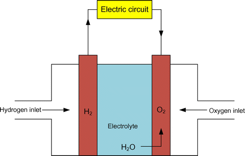 Figure 11. Fuel cell model.