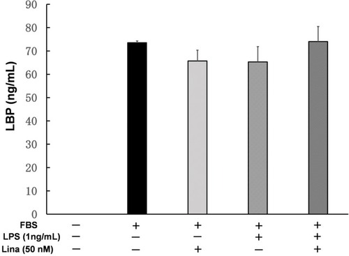 Figure 5 Effects of linagliptin on LPS-binding protein (LBP). Human U937 monocytes were treated with fetal bovine serum (FBS), LPS, and/or linagliptin, and LBP levels in medium were measured.Abbreviation: Lina, linagliptin.