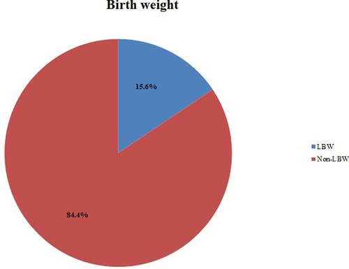 Figure 2 The prevalence of LBW among newborn babies in Dessie town health institutions, Ethiopia, 2017 (N=358).