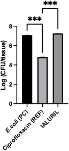Figure 4 Statistic by “One-way ANOVA with post hoc Tukey HSD Test”: ***p<0.001 on viable counts (as per formula 1) on HBE tissues expressed as Log values after 4 h HA+CS+CaCl2 pre-treatment followed by 4 h colonization. Triplicate HBE tissues for each treatment were used.