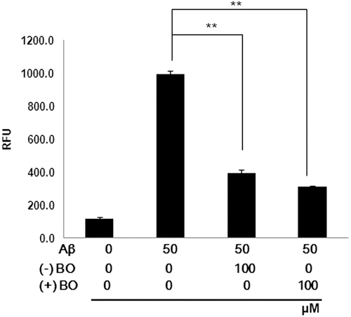 Figure 2.  Inhibitory effect of borneol on Aβ1–42 induced ROS overproduction in SH-SY5Y cells. The cells were treated with borneol for 30 min before 50 µM Aβ1–42 stimulation for 1 h. ROS generation was measured by the fluorescence intensity of DCF. RFU (relative fluorescence units). Values are indicated as mean ± SEM. **P < 0.01 vs. Aβ only.