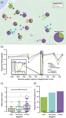 Figure 1. Geographic distribution of B4galnt2 alleles, linked variation and inflammation. a) B4galnt2 allele frequency at 12 super families sampled in southwest France and overall. For each super family, the identifier (S##) and sample size are shown. b) Expected heterozygosity at 12 B4galnt2-linked microsatellite loci, phased according to B4galnt2 haplotypes. Previously published data (Espelette 1)Citation19 as well as data from this study (Espelette 2) are presented. c-d) Inflammation score (c) and prevalence (d) derived from cecum histology according to B4galnt2 genotype. Pairwise Wilcoxon (c) and pairwise χ2 (d) tests were used with “FDR” correction for multiple testing (* p < .05).