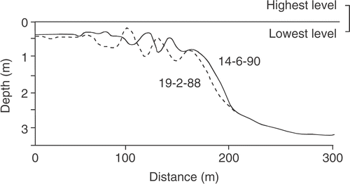 Fig 2. Bottom profiles along the fixed transect on 19 February 1988 (broken line) and 14 June 1990 (solid line). Bars in June 1990 are in positions that were troughs in February 1988. Note that the different horizontal and vertical scales exaggerate the slope.
