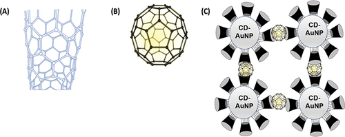 Figure 11 Schematic illustration of Fullerene tube or cylindrical structure (A), ball-like structure (B), and the formation of water-soluble nanoaggregates via the inclusion complexation between Fullerene and γ-CD-decorating AuNPs (C).