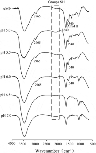 Figure 7. Fourier transform infrared spectroscopy of AMP gels at various pH values.