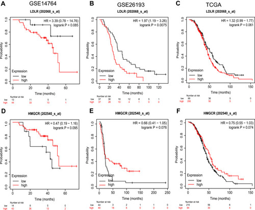 Figure 2 Survival analysis based on LDLR and HMGCR expression (high-expression group vs low-expression group) of TCGA ovarian cancer cohort, GSE14764 dataset, GSE26193 dataset. In GSE14764 dataset, patients with tumors expressing high levels of LDLR had poorer PPS (A), high expression of HMGCR was associated with better PPS (D). In GSE26193, high expression of HMGCR was associated with better PFS in OC patients (E), and tumors expressing high levels of LDLR had poorer PPS (B). In TCGA dataset, patients with tumors expressing high levels of LDLR had poorer PPS (C), and high expression of HMGCR was associated with better PPS (F).