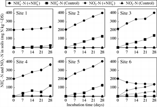 Figure 4 Changes in -N and -N concentrations in Osorezan acid soils during aerobic incubation. Values are expressed on an oven-dry soil basis (DS). In the + plots, the soil was spiked with ammonium (200 mg N kg−1) before the incubation. Concentrations of -N and -N in the control plots at the start of the incubation were set to zero.