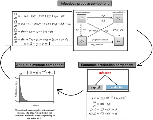 Figure 1. Schematic of the integrated model system combining (a) infection process component (b) Economic production component, and (c) Antibiotic overuse components. Arrows indicate feedback from one component on the other generating the self-reinforcing dynamics of the system.