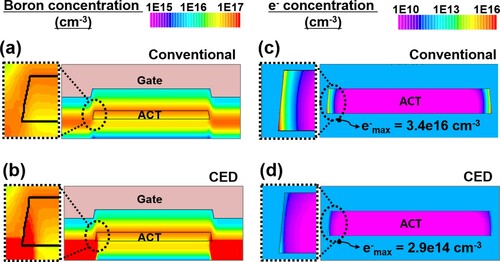 Figure 6. Comparison of simulation results between the different channel doping methods at VGS = 1 V and VDS = 0.1 V: Boron concentration with (a) conventional and (b) CED process, and electron concentration within an active layer with (c) conventional and (d) CED process.