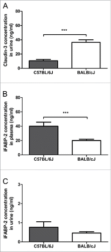 Figure 5. Systemic levels of intestinal barrier parameters. Levels of claudin-3 (A) and intestinal fatty acid binding protein (iFABP-2) (B and C) were measured in the urine (A, C) or plasma (B) of healthy mice of different strains (C57BL/6J and BALB/cJ). Statistics: mean ± SEM, N = 22–23 per group, ***p < 0.001.