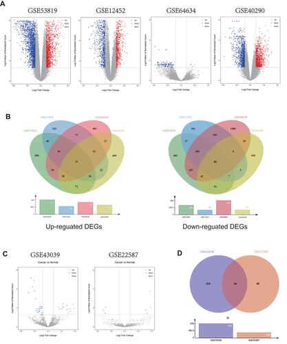 Figure 2 Identification of differentially expressed genes (DEGs) and miRNAs (DEMs). (A) The volcano plots for four mRNA expression datasets (GSE53819, GSE12452, GSE64634, and GSE40290); red dots indicate up-regulated DEGs; blue dots present down-regulated DEGs; and gray dots indicate nonsignificant DEGs. (B) Venn diagrams exhibit a total of 122 DEGs, consisting of 37 up-regulated and 85 down-regulated genes were identified in the four mRNA expression datasets. (C) The volcano plots for two miRNA expression datasets (GSE22587 and GSE43039). (D) Venn diagram shows 44 DEMs were identified in the two miRNA expression datasets.