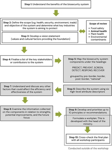 Figure 2. High-level working conceptualisation of the biosecurity system review method used to appraise current and future biosecurity needs in Pacific Island countries and territories. While presented linearly (Steps 1–10), the order can be varied, and all steps may not be needed in every situation. Shaded boxes indicate tasks that were carried out by individual participants, for example, using sticky notes to communicate their contributions to the wider group.