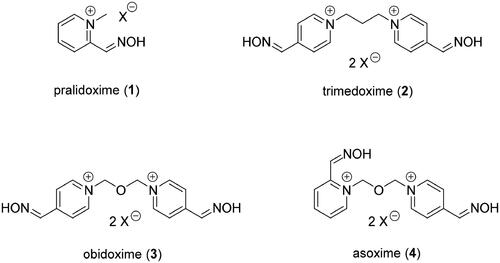 Figure 1. Structure of commercially available oxime reactivators.