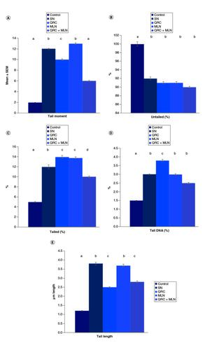 Figure 4. Influence of sophoretin and/or melatonin on DNA damage (tail moment, length and tail DNA %) following NaNO2 induced hypoxia.(A) Percentage of tail moment, (B) percentage of untailed, (C) tailed percentage, (D) tail DNA percentage, (E) tail length in SN hypoxic group and different treated groups. Data are expressed as means ± SEM (n = 10). P-value <0.05 is considered significant. Groups having the same letter are not significantly different, while those having different letters are significantly different.