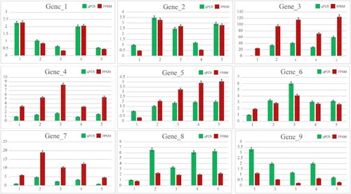 Figure 10. qRT-PCR analysis of selected genes from transcriptomics.