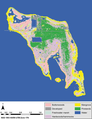 Figure 14. The classified image of No Name Key, Florida with the best accuracy across the inputs and the classification algorithms. The 7 × 7 majority-filtered classification output from the Random Forest algorithm of the 2017 NAIP-2008 lidar stacked image with the original input bands (not with the normalized bands) achieved both the highest overall classification accuracy and the kappa coefficient (к)