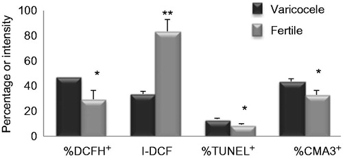 Figure 1. Comparison of the mean percentages of 2′, 7′-dichlorodihydrofluorescein (DCFH+), TUNEL+, chromomycin A3 (), and intensity of DCFH (I-DCFH) between individuals with varicocele and fertile individuals. *p < 0.05; **p < 0.01.