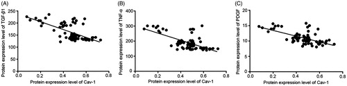 Figure 4. Correlations of caveolin-1 (Cav-1) expression with cytokines in rat. (a) Correlation of Cav-1 with transforming growth factor-β1 (TGF-β1) expression. (b) Correlation of Cav-1 with tumor necrosis factor-α (TNF-α) expression. (c) Correlation of Cav-1 with platelet derived growth factor (PDGF) expression.